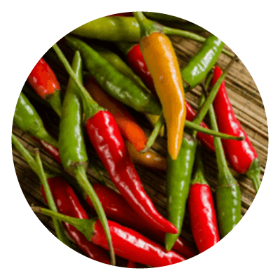 Thai Chili